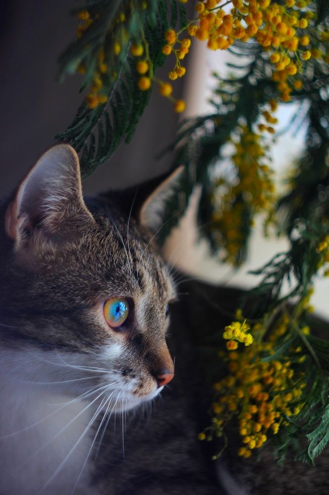 Photograph by Евгения Уманец