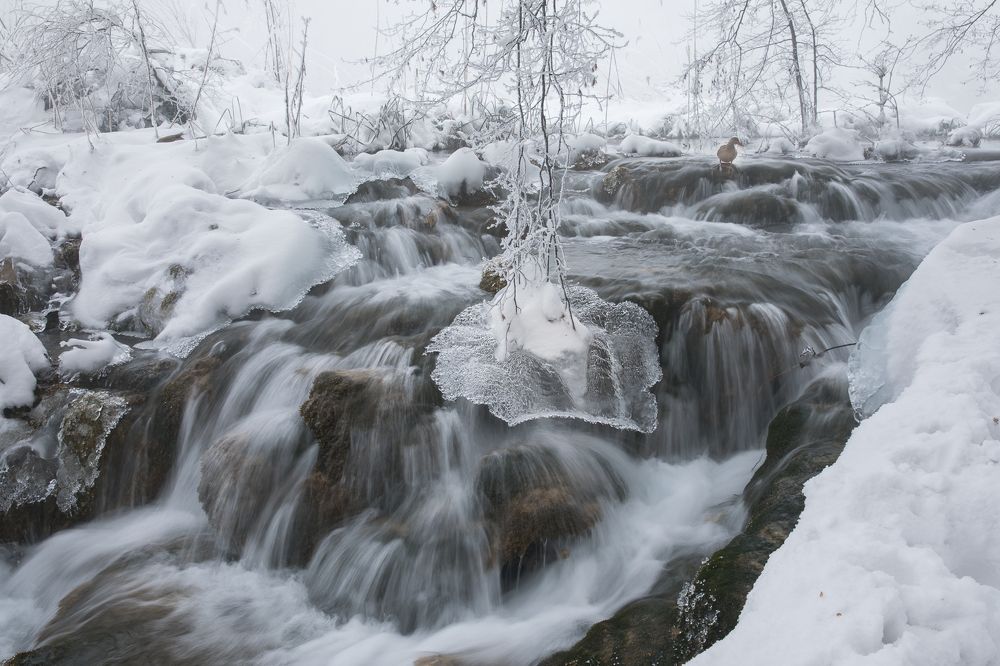 Photograph by Марина Маликова