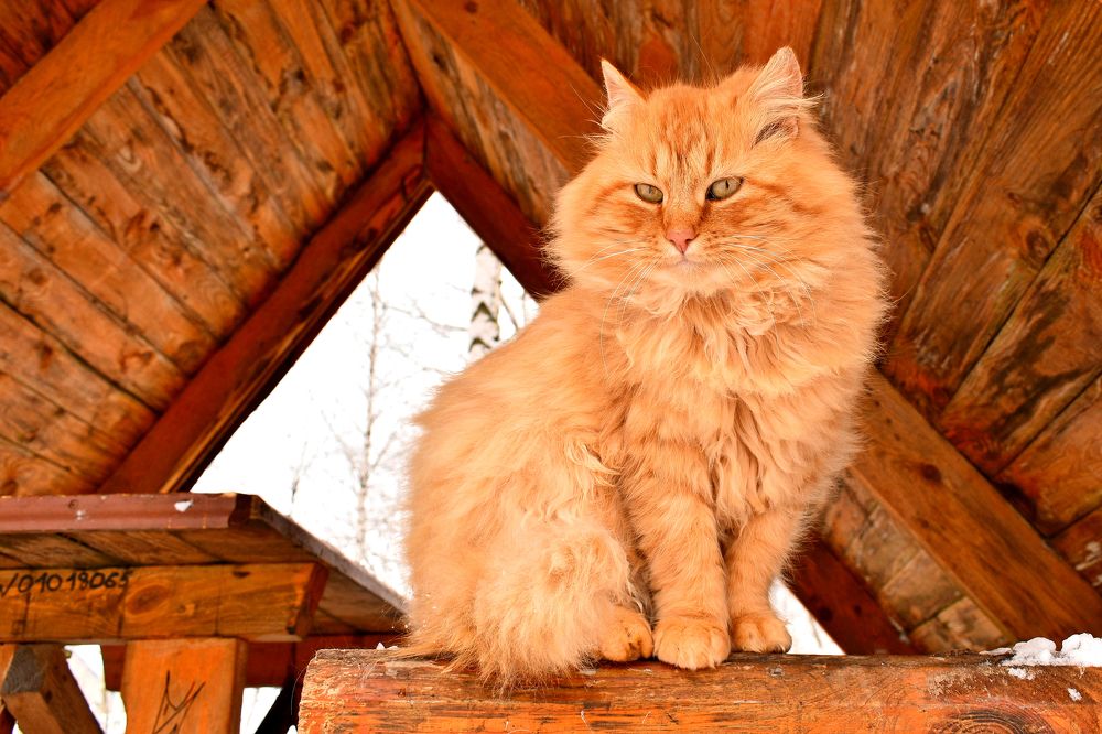 Photograph by Валерий Талейко