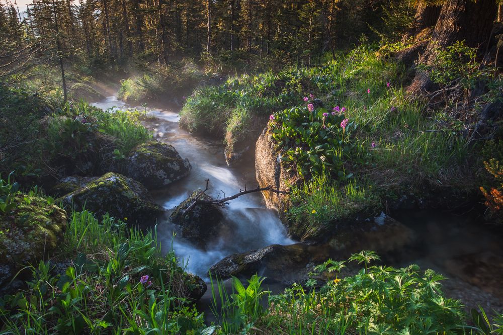 Photograph by Марина Маликова