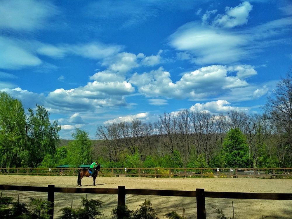 Photograph by Евгения Уманец