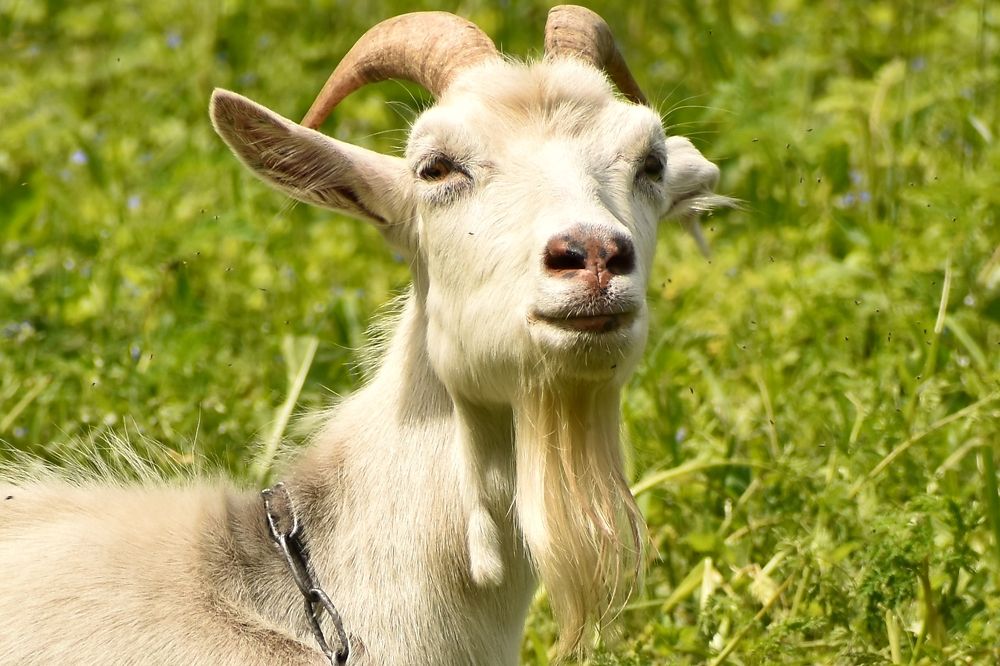 Photograph by Валерий Талейко