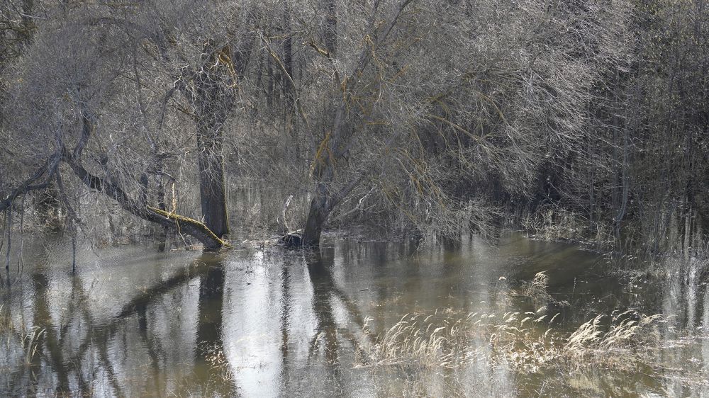 Photograph by Измаил Ефимов