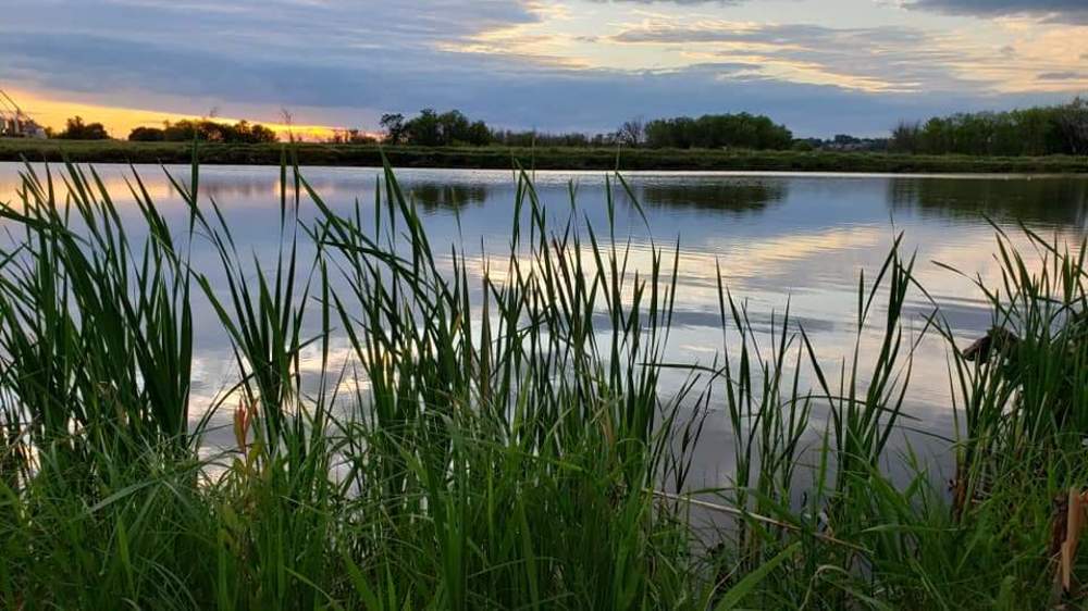 Фотография автора Al