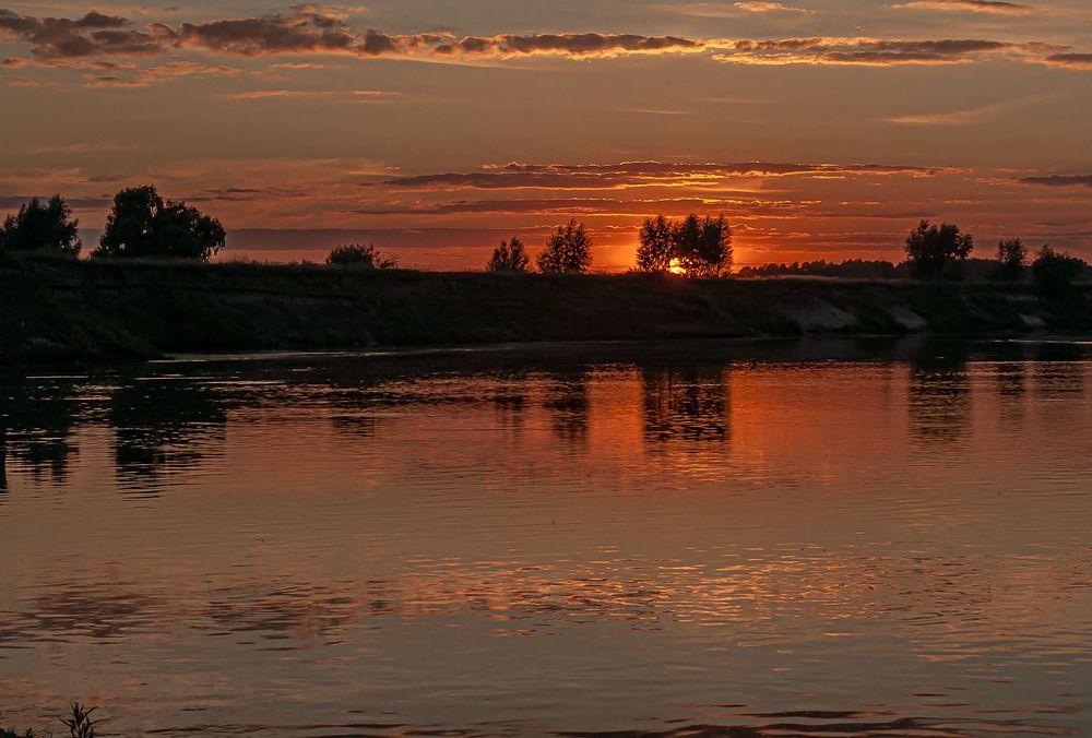 Photograph by 