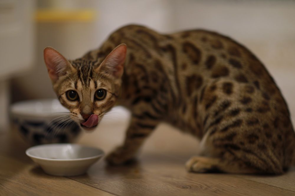 Photograph by Ландыш Фатхутдинова