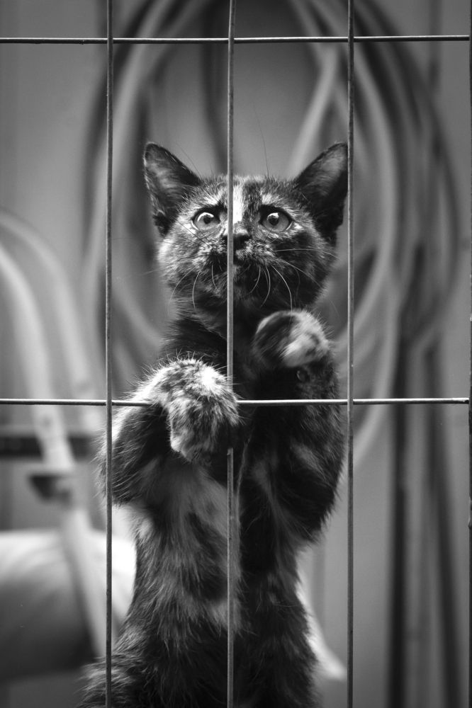 Photograph by Henrique Jahn