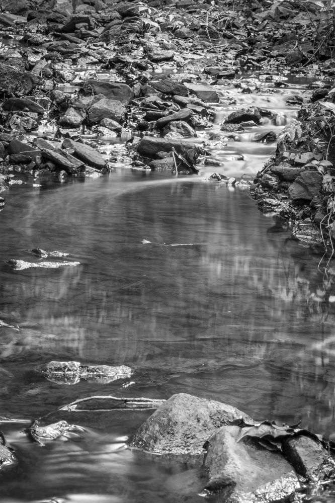 Photograph by Henrique Jahn