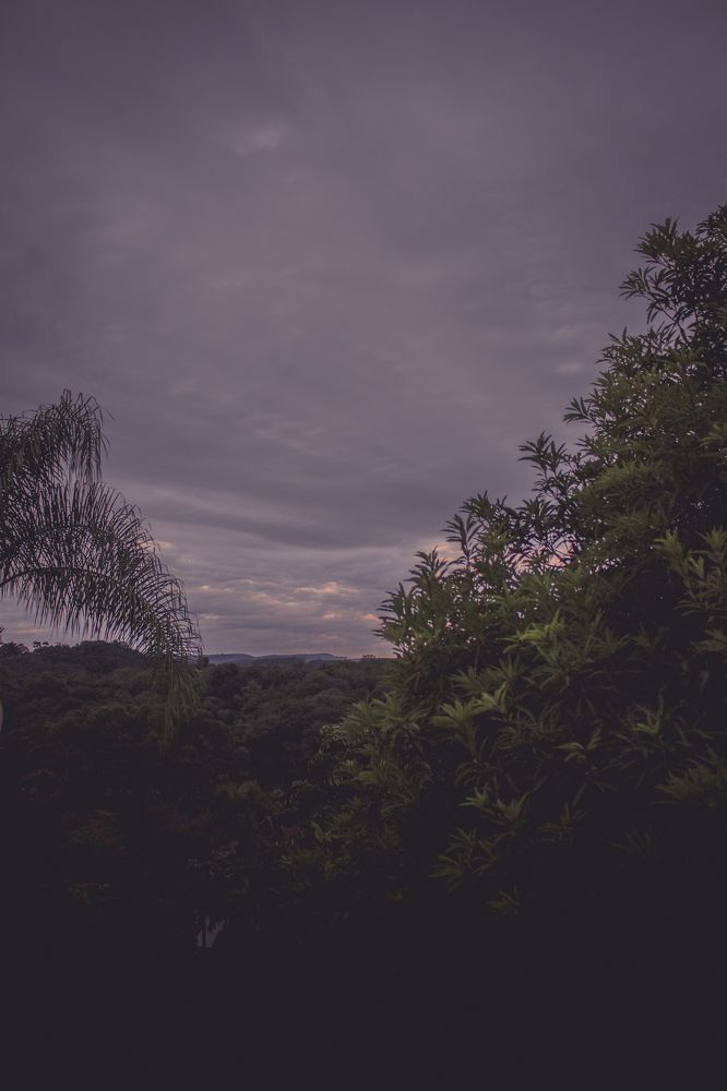 Photograph by Henrique Jahn