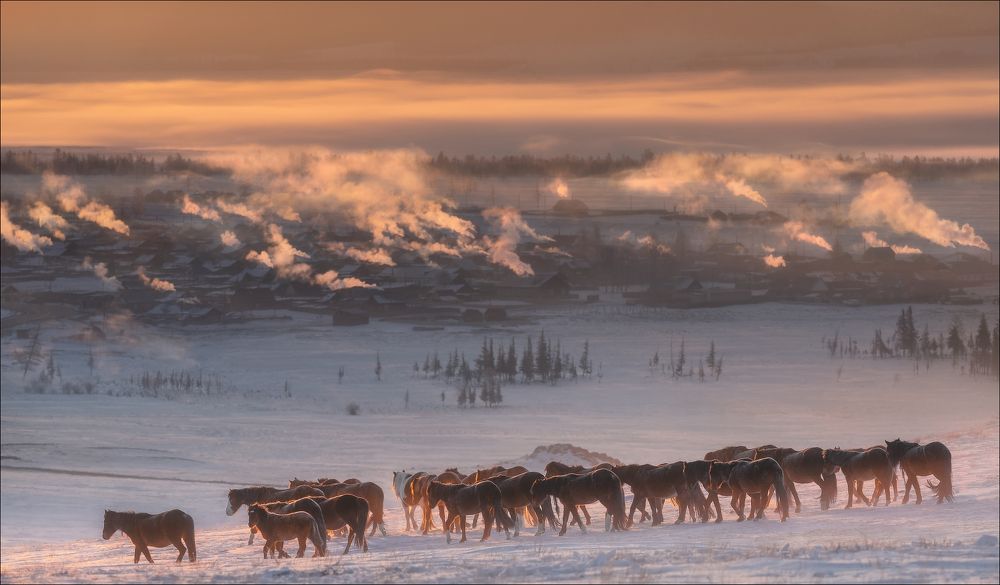 Однажды в Курае