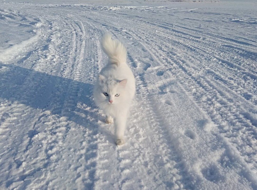 Photograph by Татьяна Котельникова