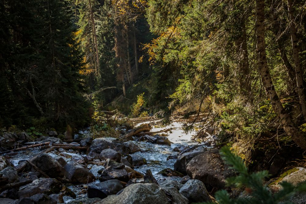 Ведьма-речка