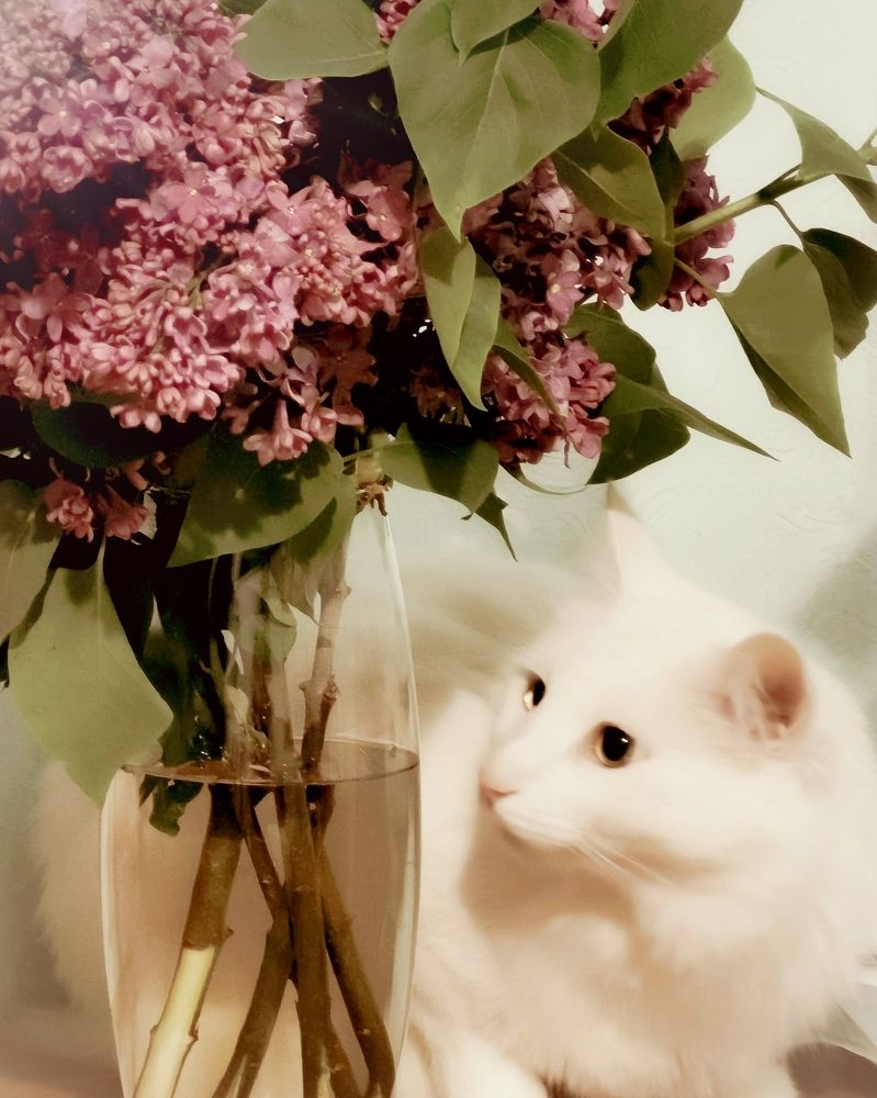 Photograph by Юлия Ледовская