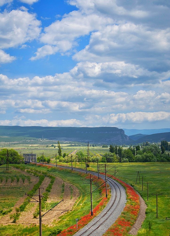 Photograph by Екатерина Гордеева