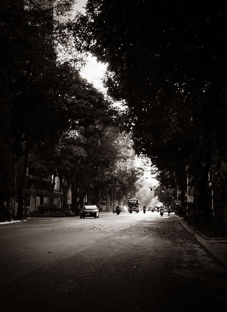 Photograph by Hieu Phan