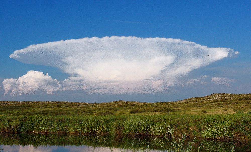 Photograph by Михаил Максимов