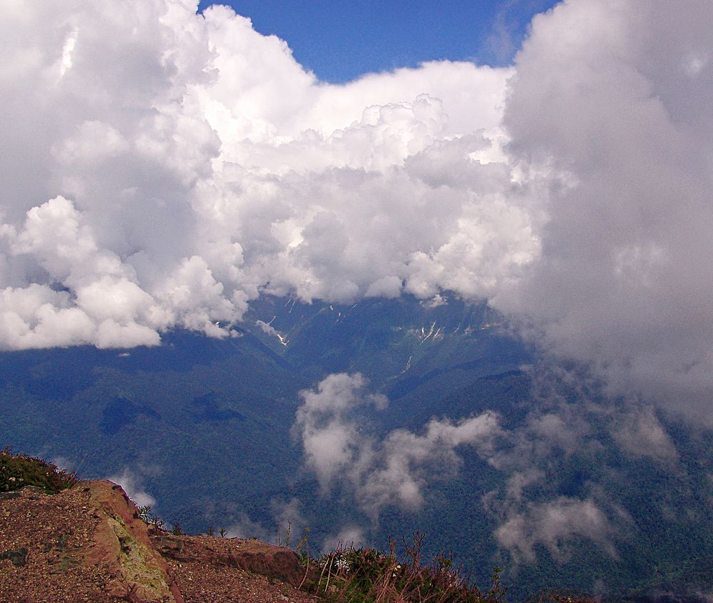 Photograph by Михаил Максимов