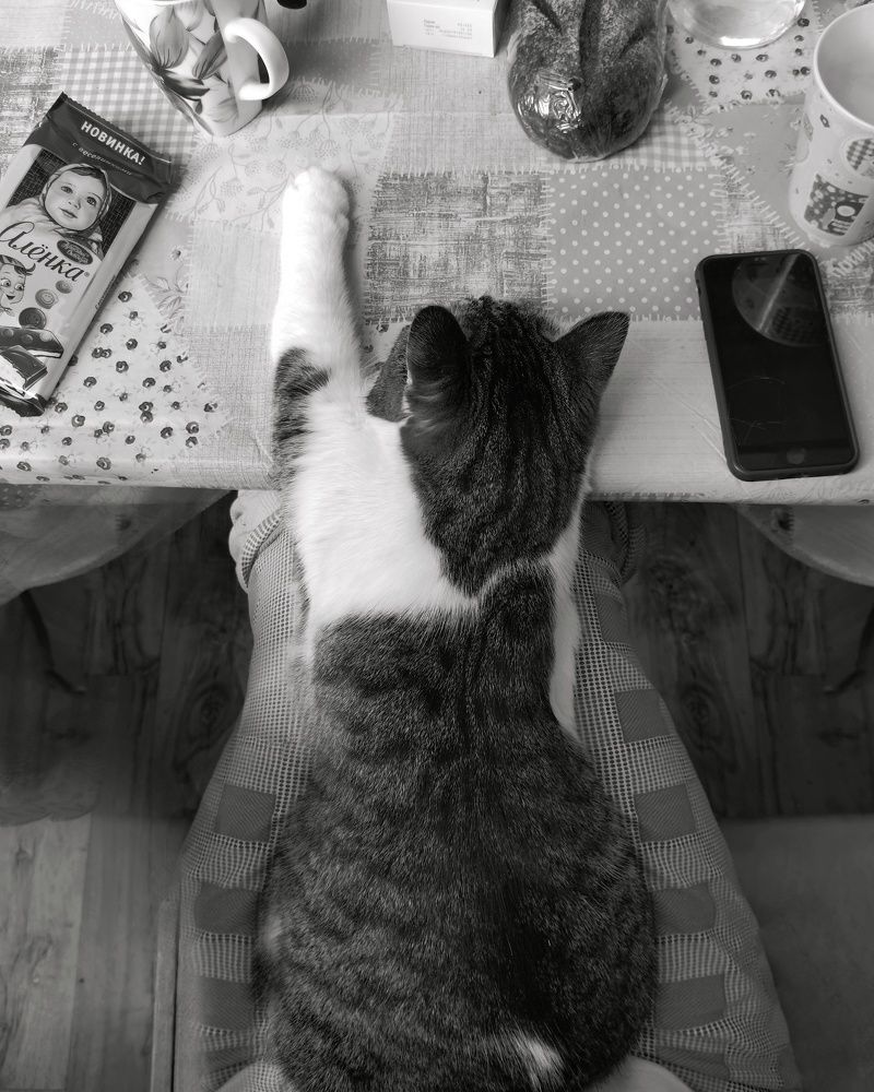 Photograph by Юлия Ледовская