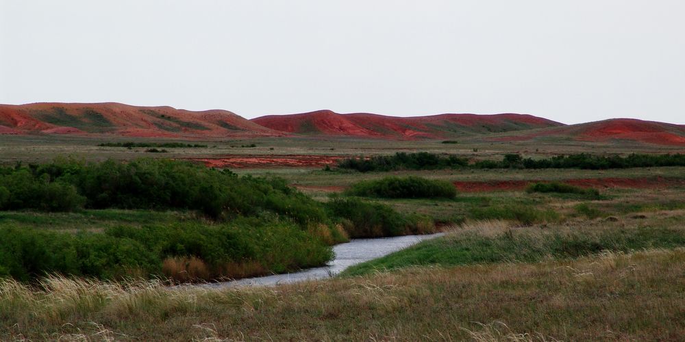 Photograph by Михаил Максимов