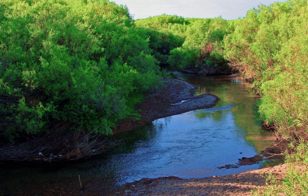 Photograph by Михаил Максимов