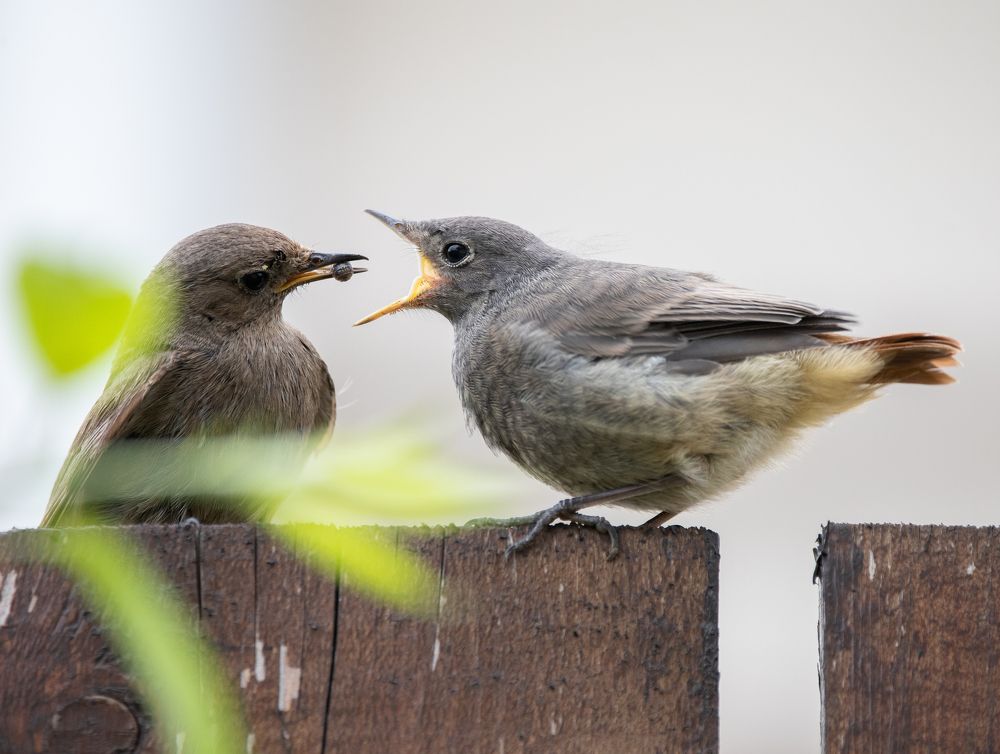 Photograph by Евгения Журавлева