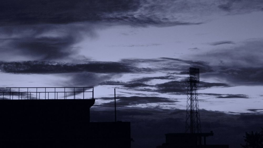 Photo #6141005