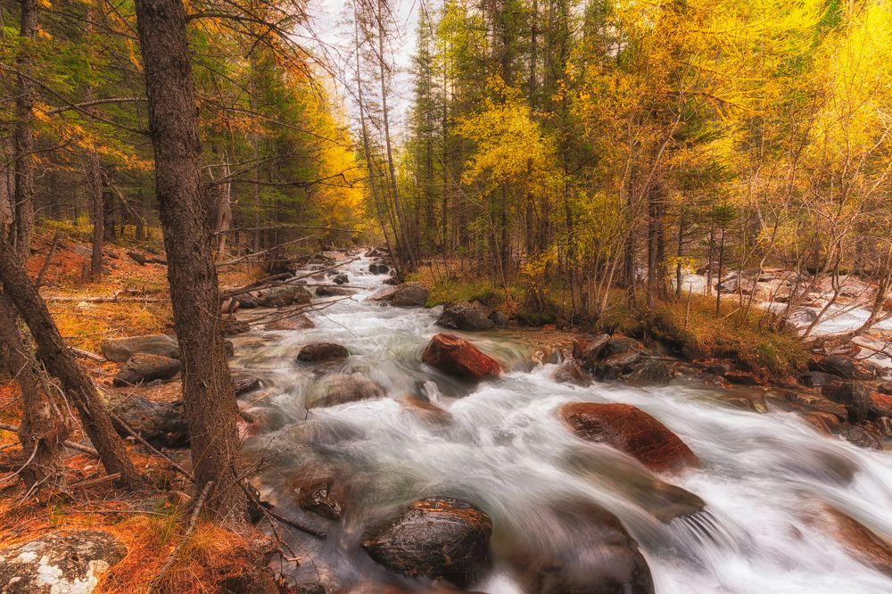 Чибитка в сентябре