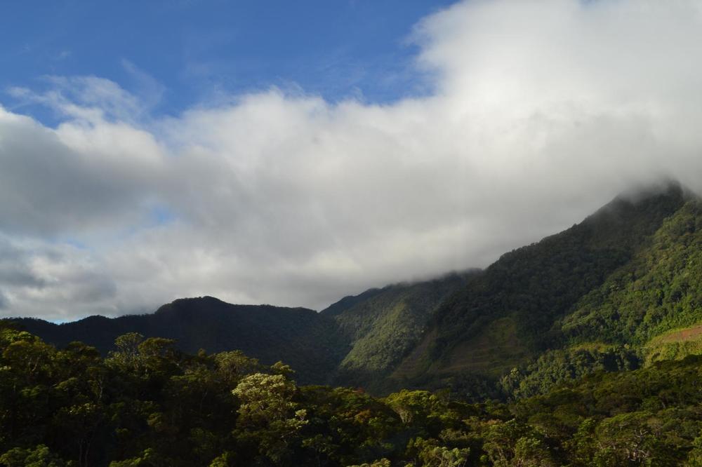 Photograph by Анжелика Трошина