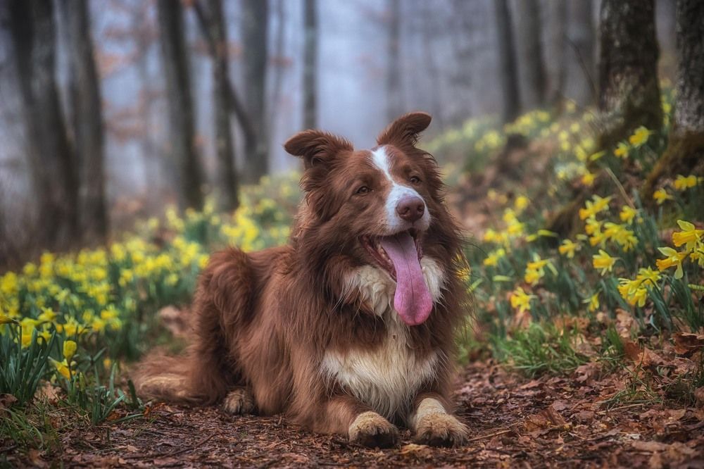 Photograph by Guy Krier