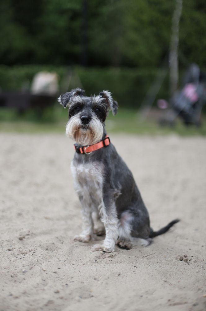 Фотография автора Надежда Воробьёва