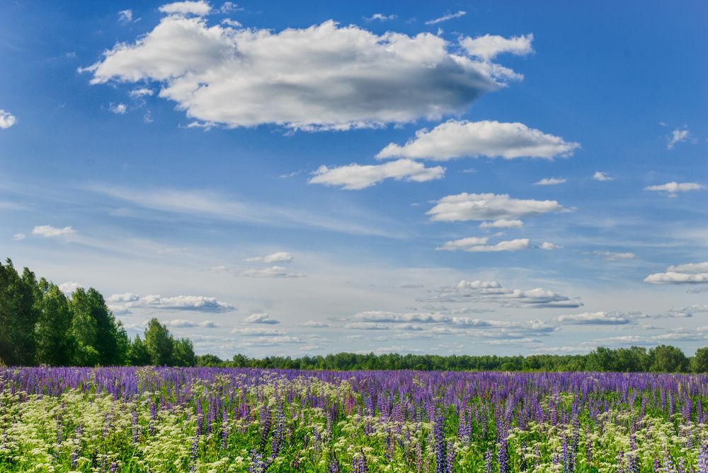 Photograph by Дементьев Владимир