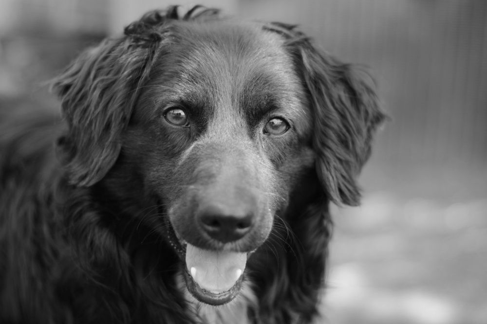 Photograph by Гульжан Шарипова