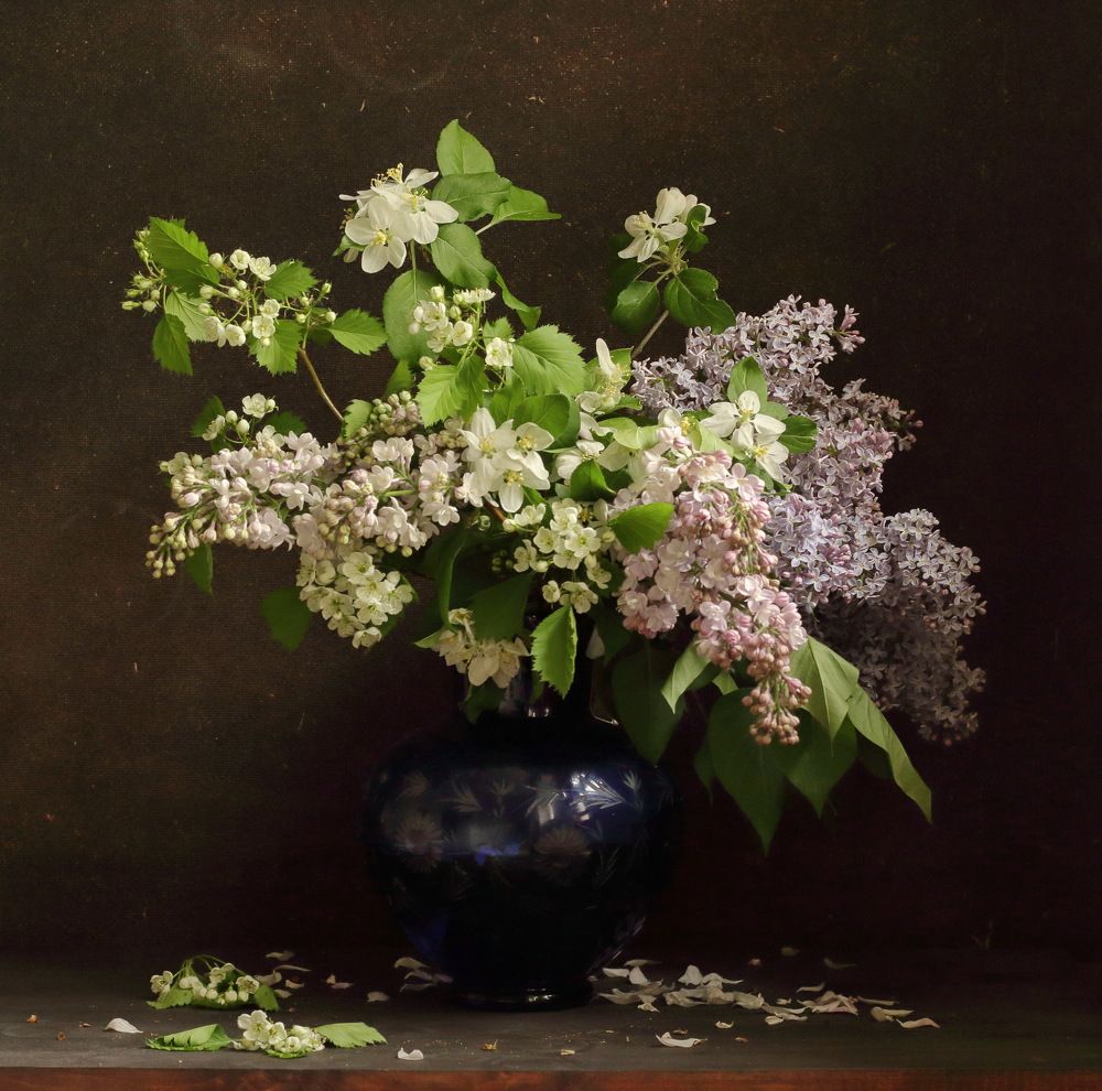 Фотография автора ТАТЬЯНА ЗАХАРОВА