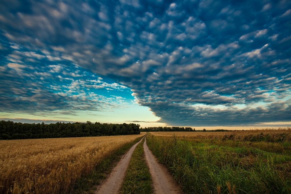 Photograph by Дмитрий Сундеев