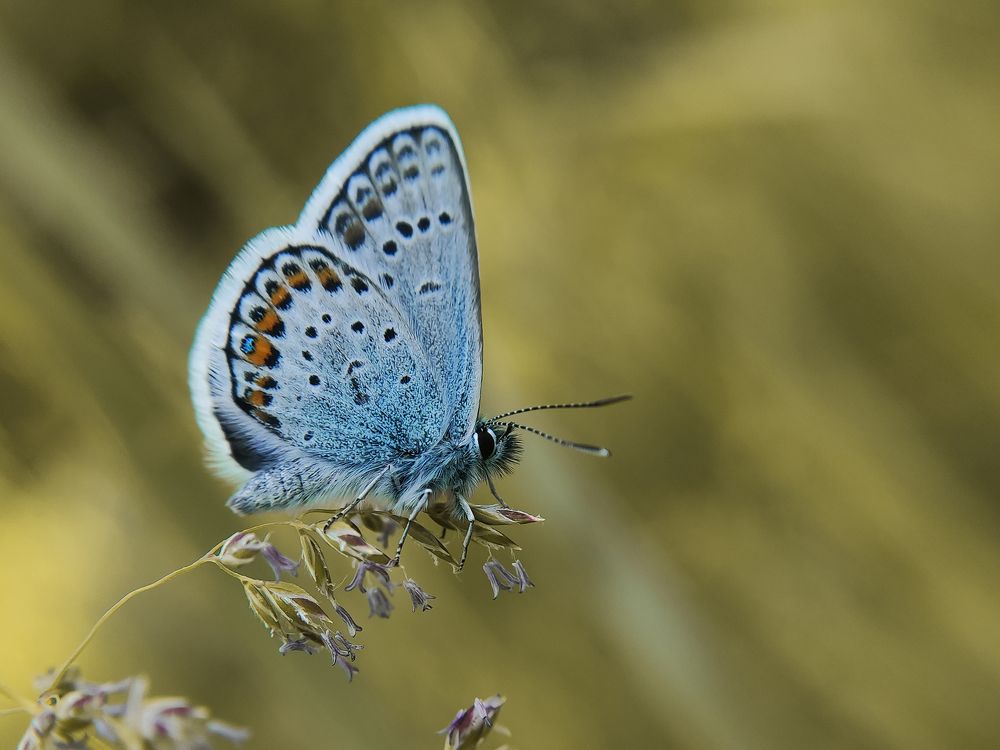 Photograph by Дина Горбачёва