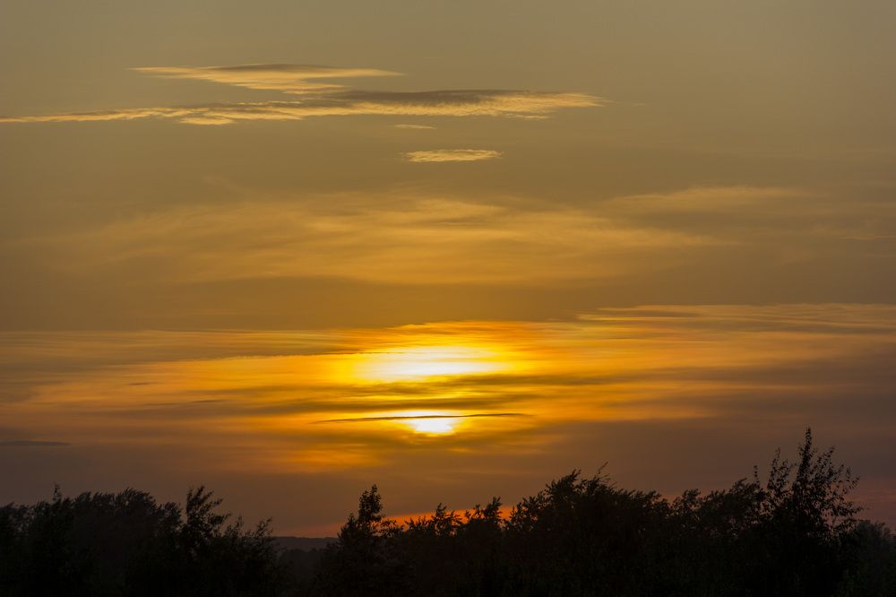 Photograph by Anna Gapanovich