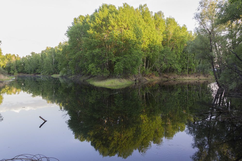 Photograph by Anna Gapanovich