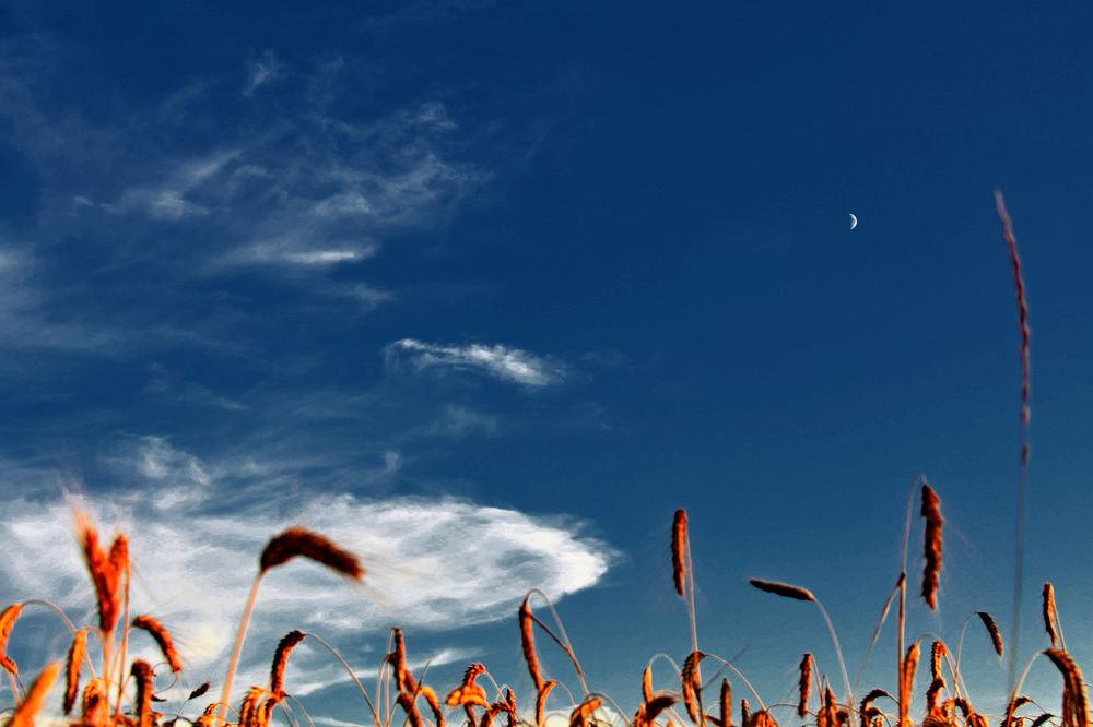 Photograph by Alexey Smal