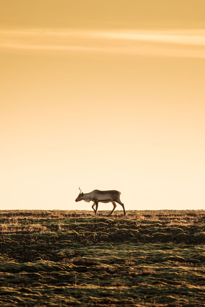 Photograph by Misha Martin