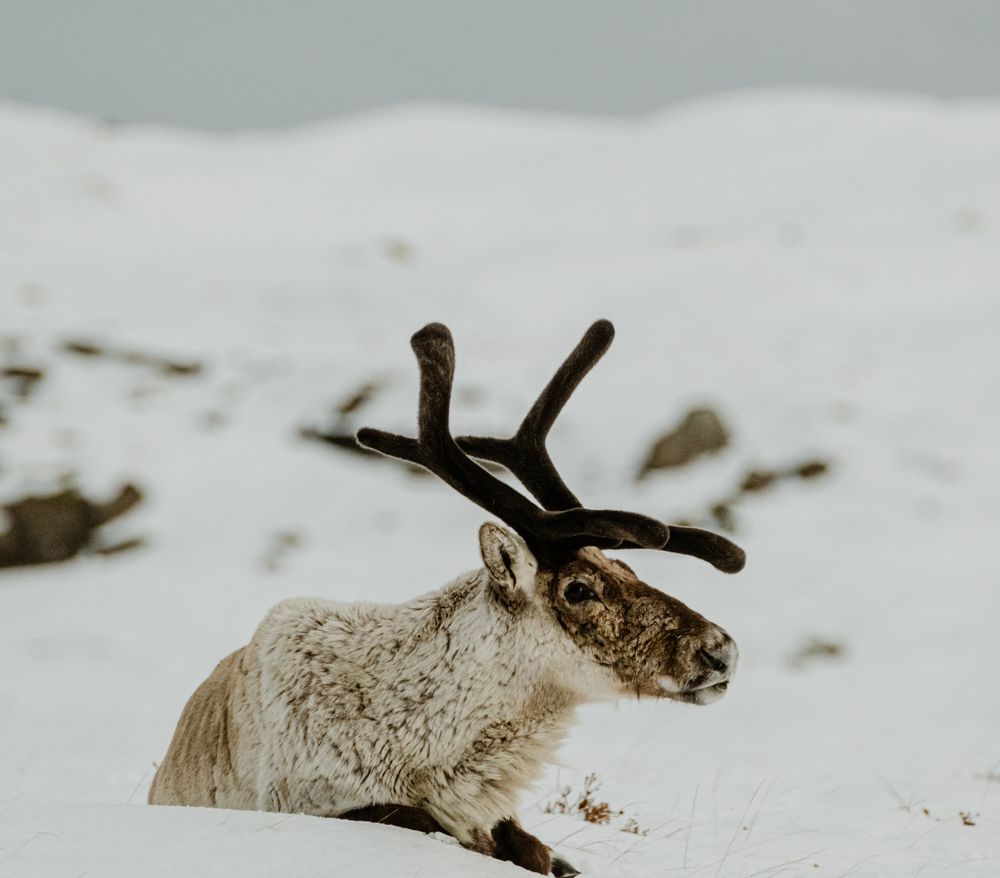 Photograph by Misha Martin