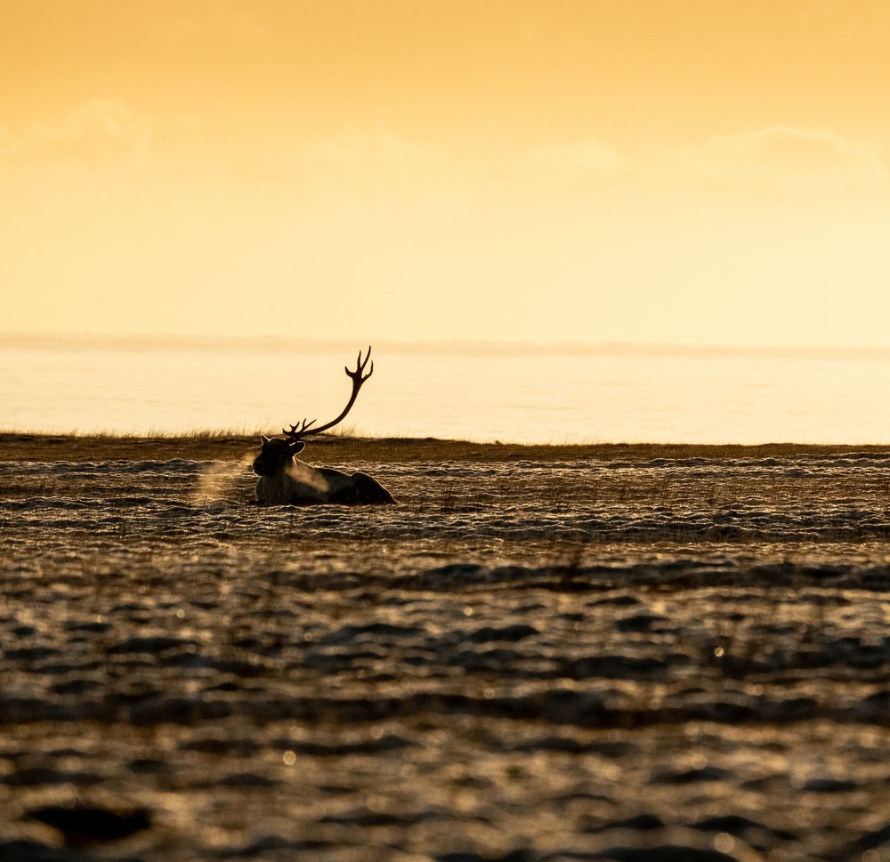 Photograph by Misha Martin