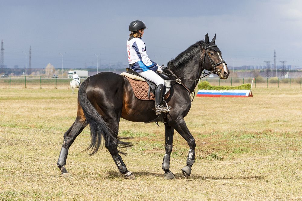 Photograph by Александр Аношкин