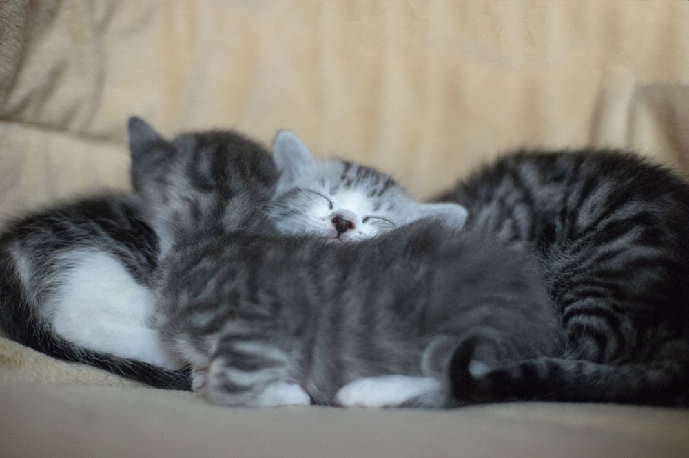 Photograph by Elena Kostochkina