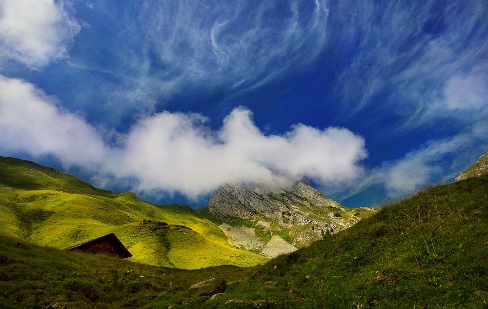 Photograph by Elena Wymann