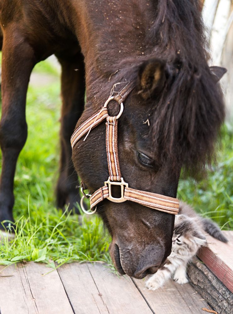 Photograph by Светлана Семакина