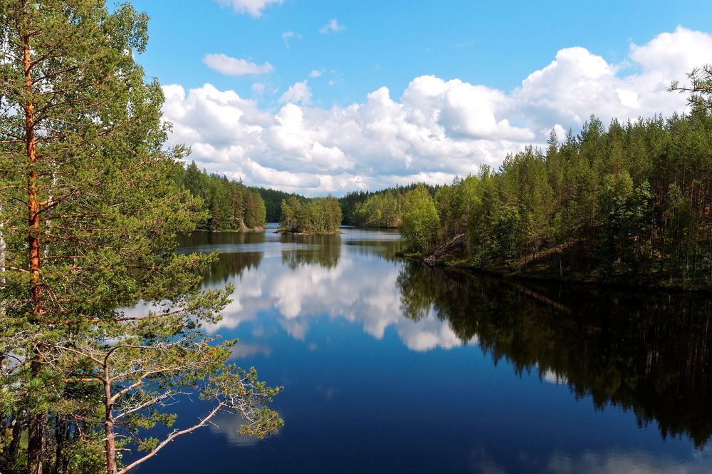Фотография автора Razgulyaev Aleksandr