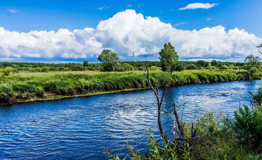 Фотография автора Razgulyaev Aleksandr