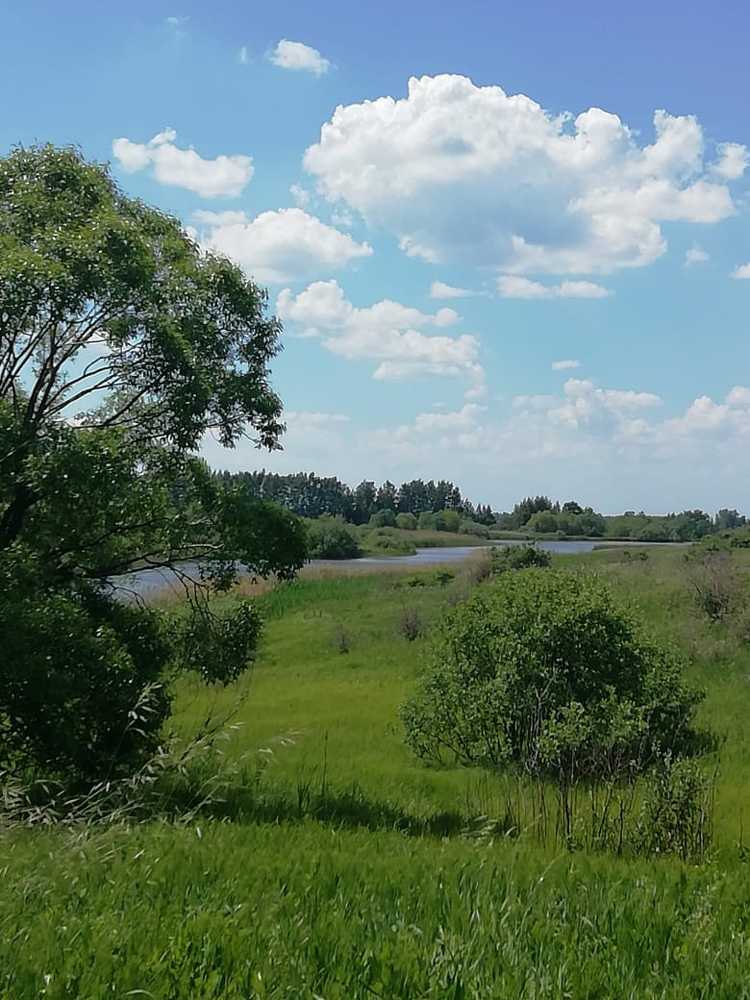 Photograph by Александр Макаров