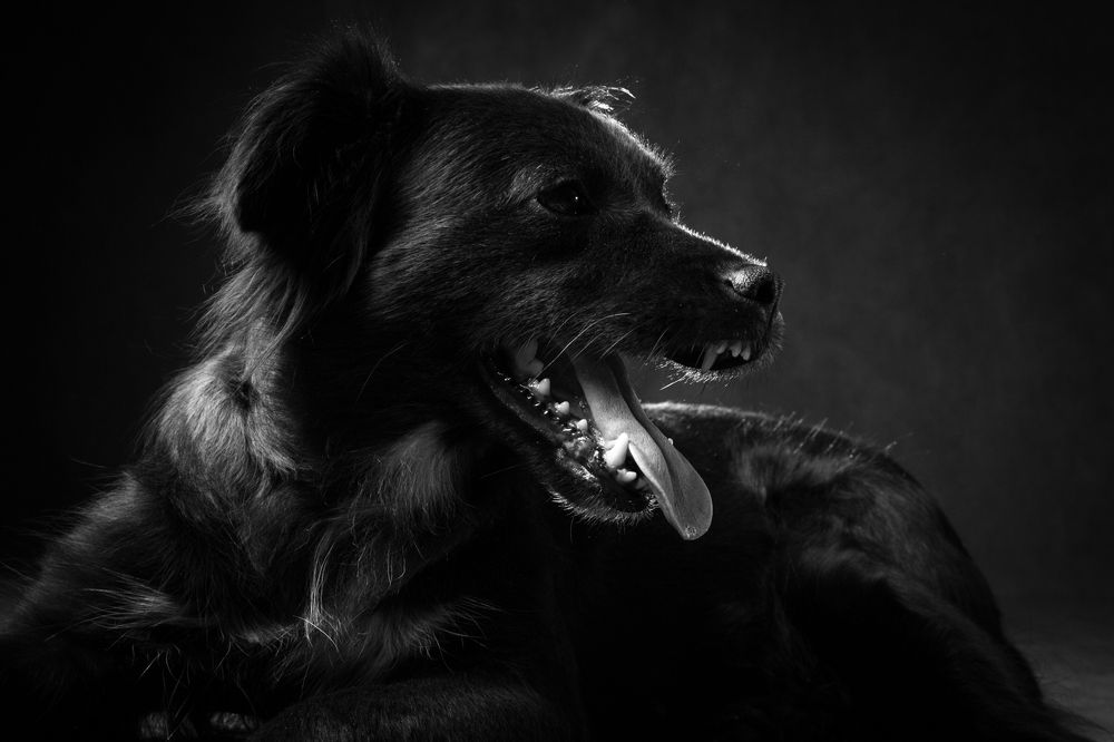 Photograph by Андрюс