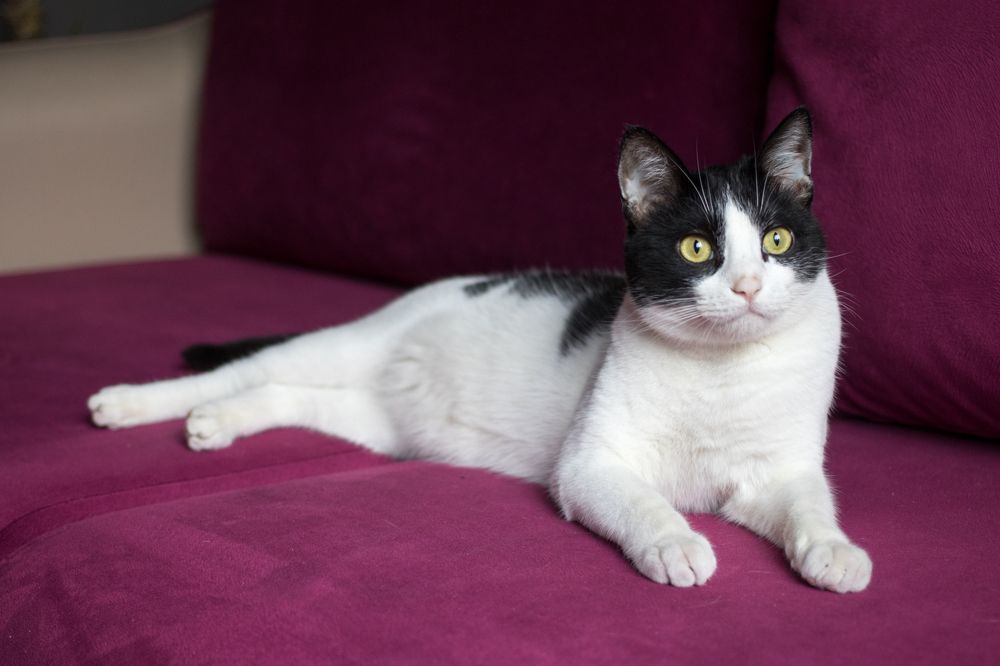 Photograph by Андрюс